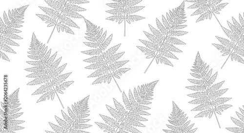Fern leaves pattern illustration on white background for design element