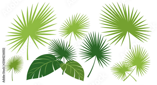 Green palm fronds and leaves isolated on white background vector illustration