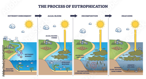 Obraz na plátně Eutrophication process shown step by step, nutrient runoff drives algal bloom, decomposition creates hypoxia and a dead zone, key objects, algae, fish, tractor