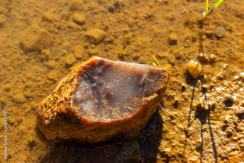 Canvastavla Natural pinkish chalcedony concretion with a broken edge sitting in a shallow mu