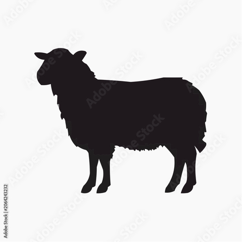 silhouette of a sheep