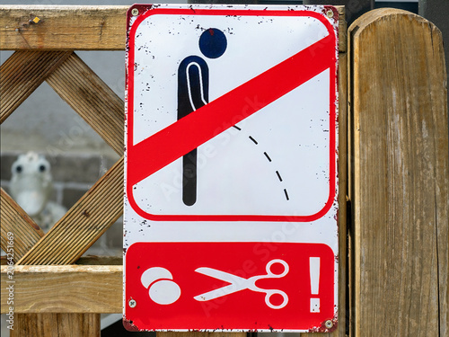 sign with symbols on a garden fence: No urination, eggs, scissors. The meaning is a threat to cut off the urinator's testicles!