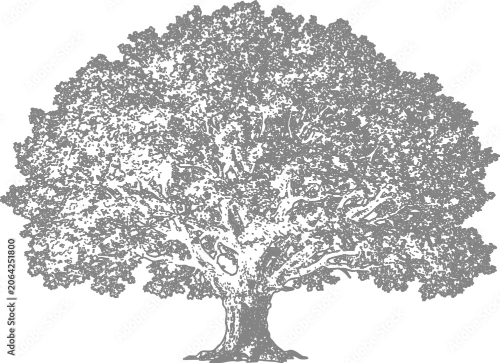 Fototapeta premium Detailed cad tree illustration vector artwork for design and engineering projects