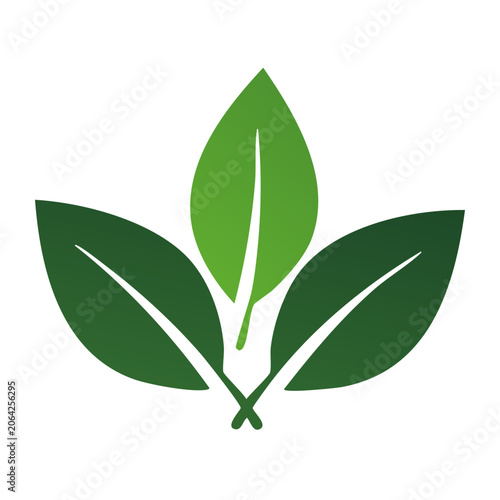 Maple leaf flat design icon