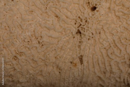 Abstract background image s...