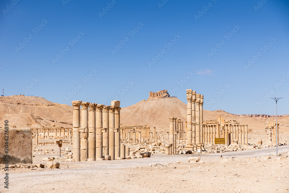 Fototapeta premium Palmyra Ruins Colonnade and Temple Syria