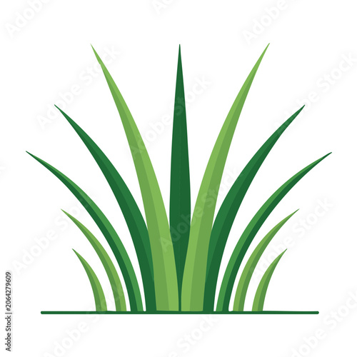 Green grass vector illustration on transparent background