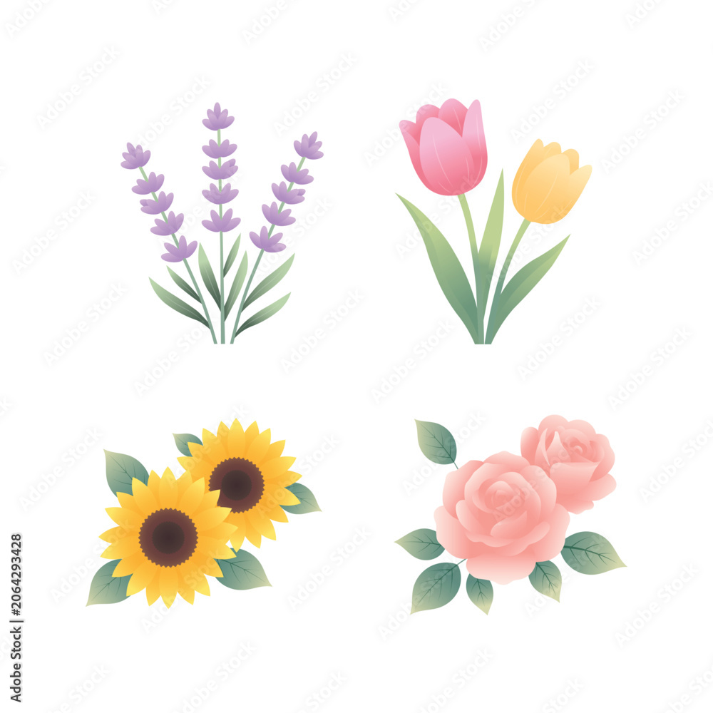 Obraz premium Gradient floral elements collection with lavender tulips sunflowers and roses on white background
