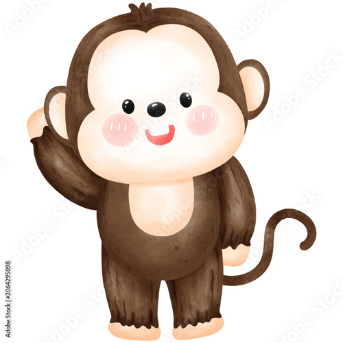 Baby boy monkey 
