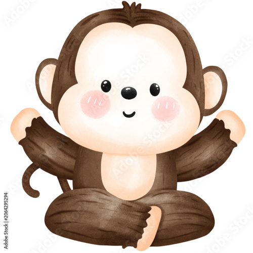 Baby boy monkey 