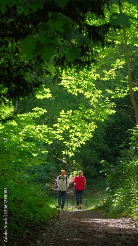 Two happy adults hiking, talking and laughing on a scenic path in a lush green sunny forest. Vertical format.