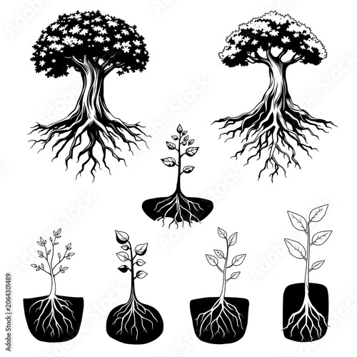 Set of black silhouette trees and small plant seedlings with roots silhouette seedling illustration environment agriculture cultivation vegetation forestry landscaping