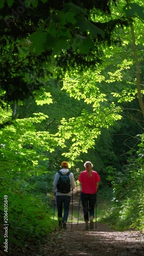 Two adults hiking with sticks and talking on a scenic path in a lush green sunny forest. Vertical format. 
