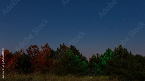 Star trails time lapse night sky over forest