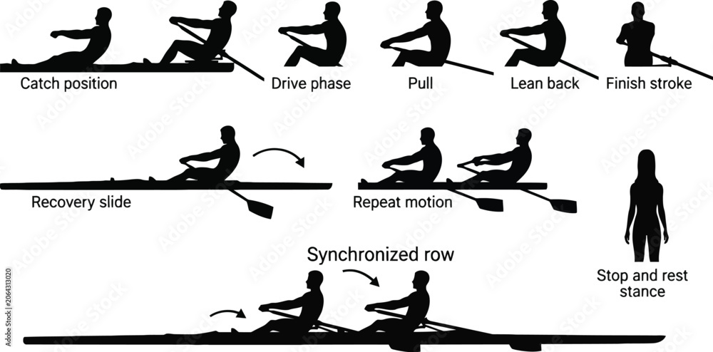 Obraz premium Rowing stroke phases illustrated in black and white Vector