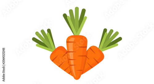 Photos Three organic orange carrots with leafy green stems