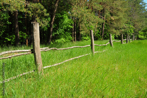 Wooden fence in rural countryside meadow with green grass and forest landscape