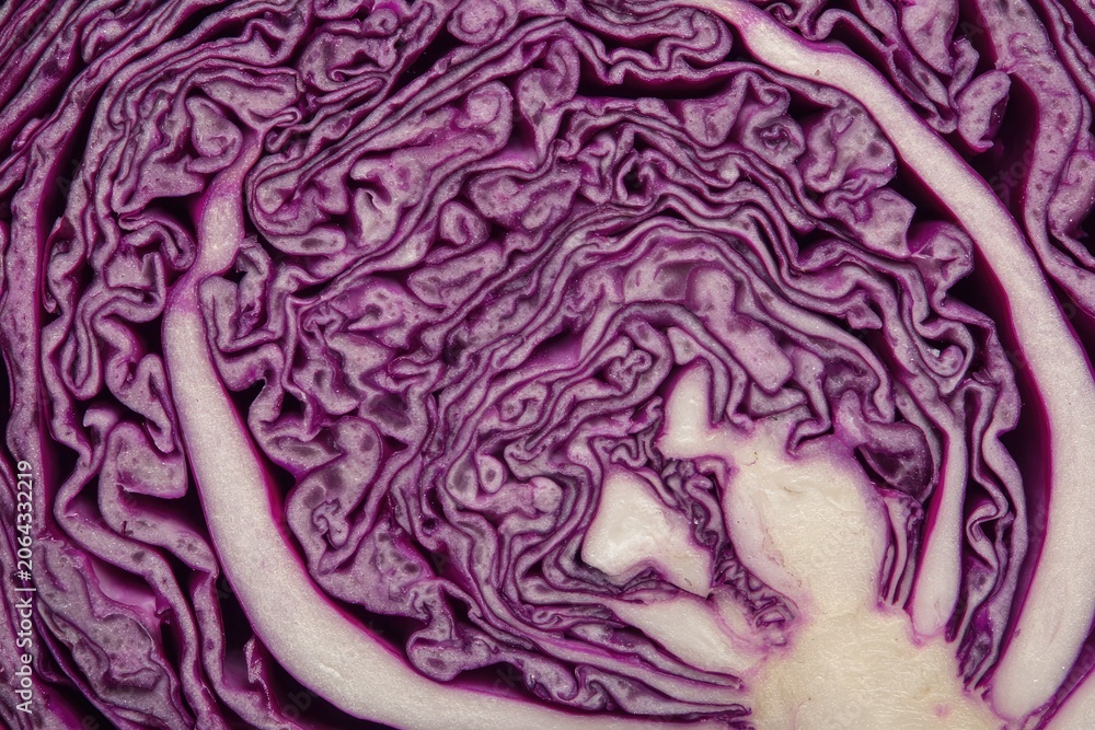 Obraz premium Close-up cross-section of a vibrant purple cabbage revealing intricate, layered texture