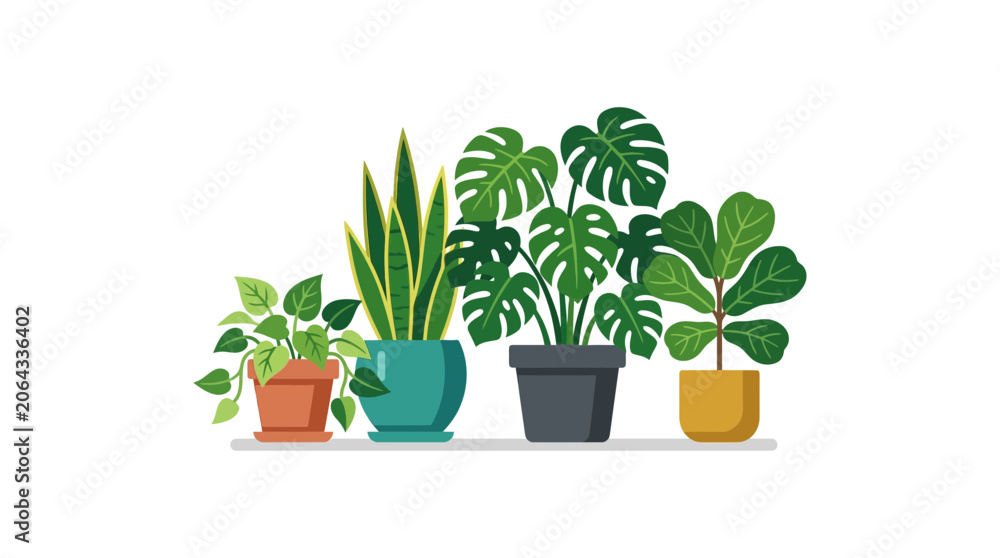 Fototapeta premium Potted Houseplants Collection