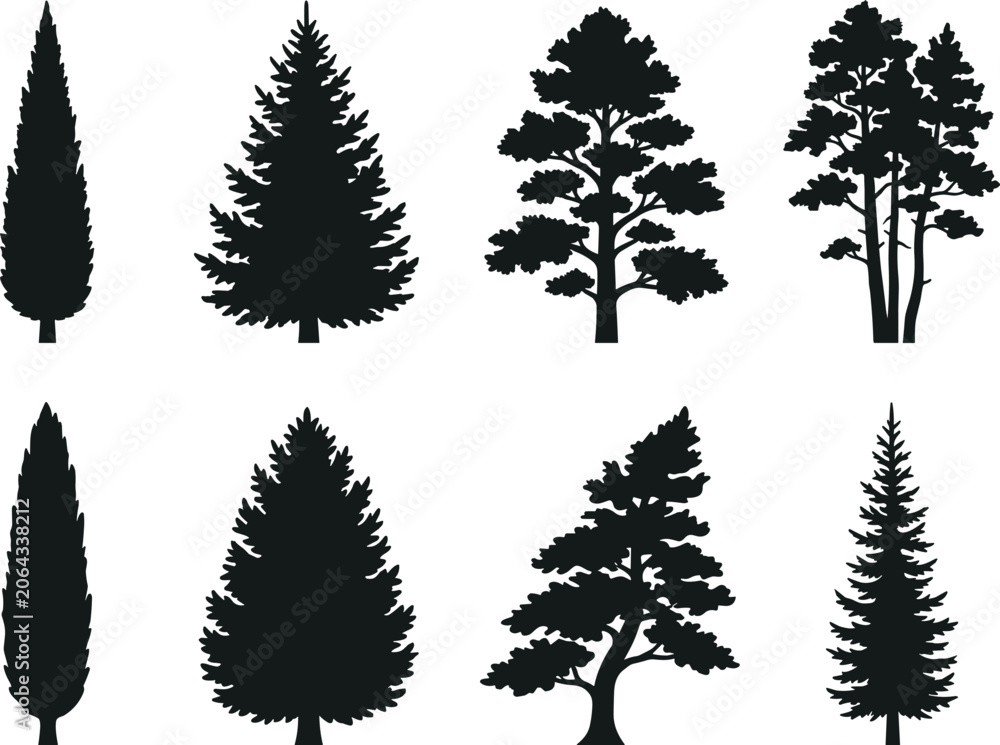 Obraz premium Collection of evergreen coniferous tree silhouettes including pine fir and cypress isolated on white background