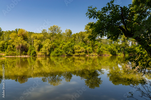 Foto Martely backwater of the Tisza river