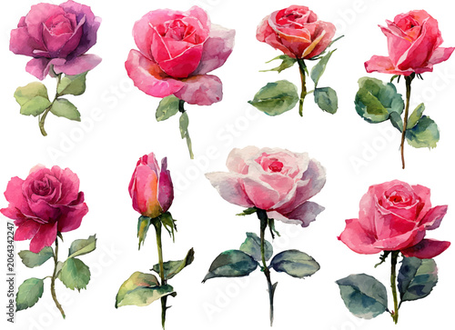 watercolor set of roses