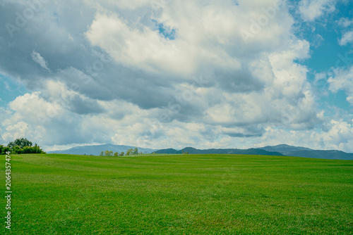 green field and blue sky