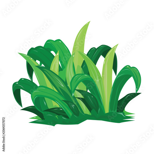 Green plant isolated on white. Grass vector illustration. Simple Green vector clipart
