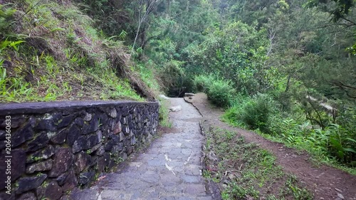 Scenic footage in the ruins of the Old Thermes of Hell-Bourg in Salazie, La Réunion, are the remains of a 19th-century spa, a luxurious destination known for its healing, Vichy-like mineral waters.	