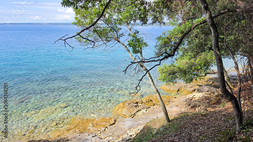Clear blue sea with rocky shore and trees on a sunny day