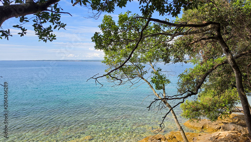 Clear blue sea with rocky shore and green trees