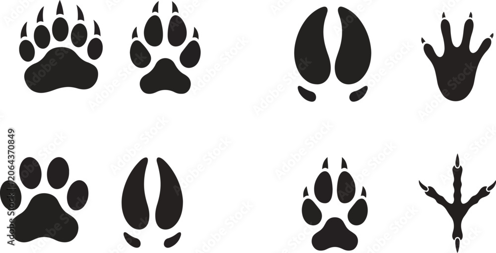 Fototapeta premium Collection of animal paw prints and bird track silhouettes isolated on a white background