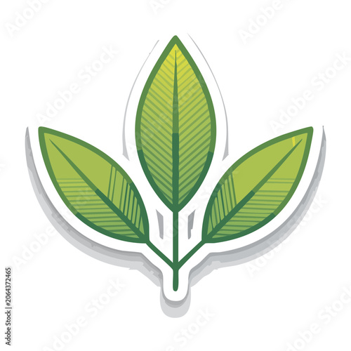 Green leaf icon with transparent background