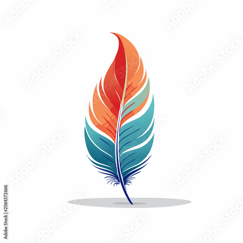 Colorful Feather Illustration