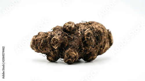 Fresh raw ginger root isolated on white background for cooking and herbal medicine