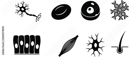 Bild auf Leinwand Human cell types and anatomy icon set featuring biology microbiology and medical
