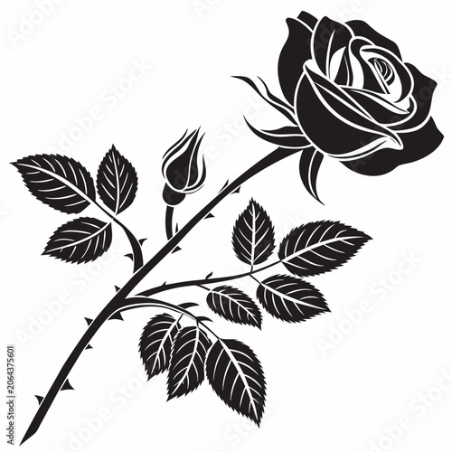 Rose Silhouette Against A White Background A Detailed Botanical Illustration flower blossom rosebud