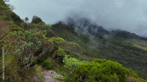 Scenic footage landscape of the path of La Nouvelle Trekking, Reunion Island, France	