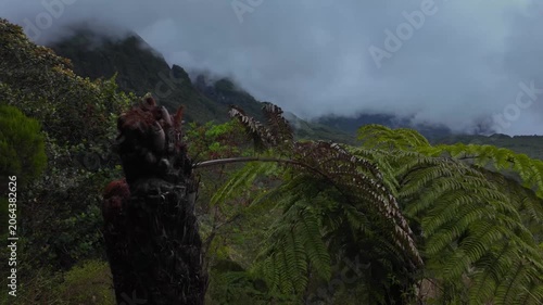 Scenic footage landscape of the path of La Nouvelle Trekking, Reunion Island, France	