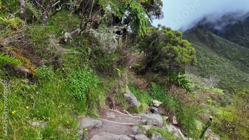 Scenic footage landscape of the path of La Nouvelle Trekking, Reunion Island, France	