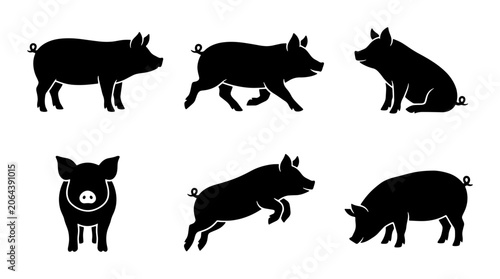 Pig Silhouettes Collection
