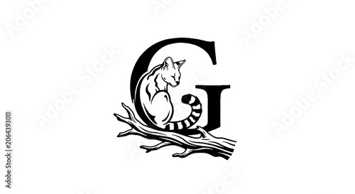 Illustrated letter G with raccoon on branch.