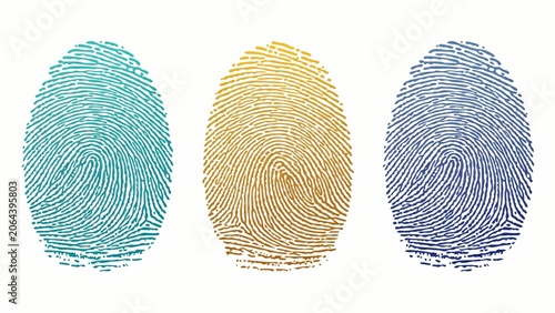 Fingerprint patterns set in teal yellow and blue colors isolated on a white background for modern digital security concepts