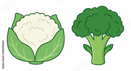 A cartoon illustration of two types of vegetables