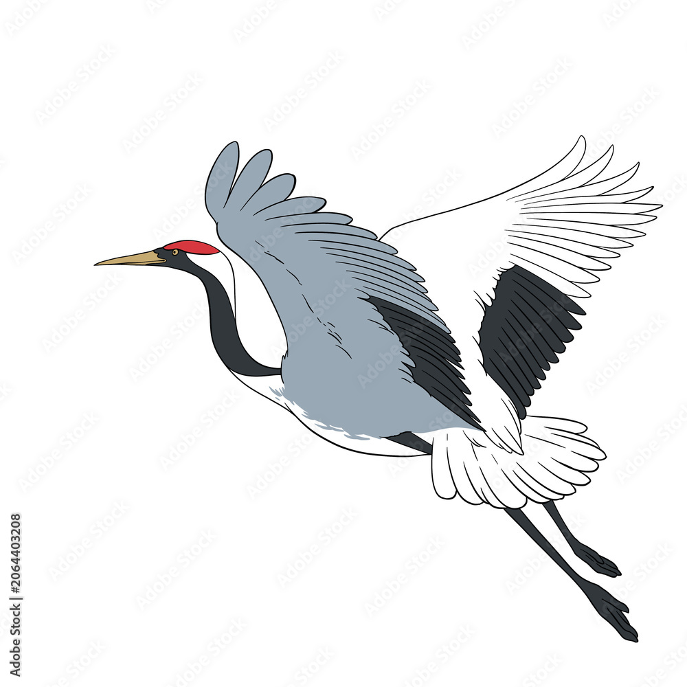 Obraz premium Illustrated Japanese Crane on transparent background
