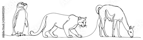 Vászonkép Chilean wildlife animals including penguin puma and guanaco in continuous line a
