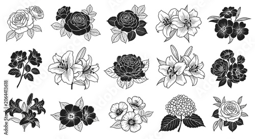 Black and white floral illustrations of various flowers
