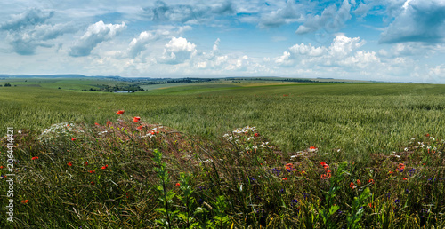 Summer panoramic of wildflowers, a cereal field on the hills and a body of wa...