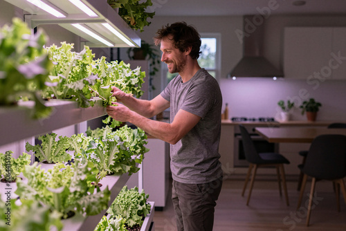 Man Harvesting Fresh Lettuce in Indoor Vertical Farm