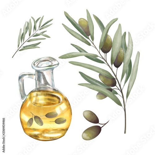 Olive oil Set with Olive Branch, Green olives and oil carafe, watercolor botanical Illustration . Good for Food packaging , Olive oil Labels, culinary Design, organic products, botanical projects 